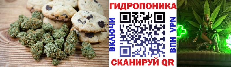 Купить закладки  Порхов  Еда ТГК марихуана 