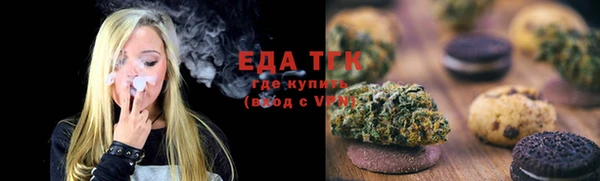 первитин Горняк