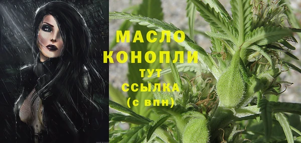таблы Гусев