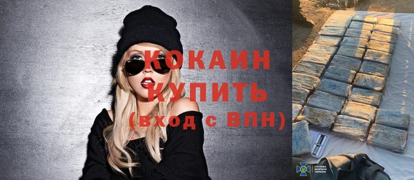 таблы Гусев