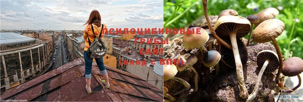 кокс Горно-Алтайск