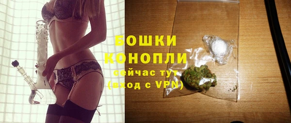 таблы Гусев