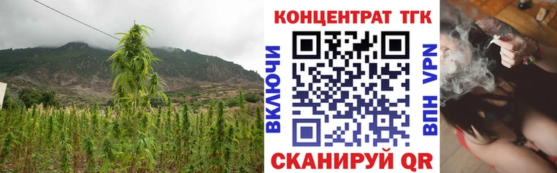 Купить закладки  Порхов  ТГК вейп 
