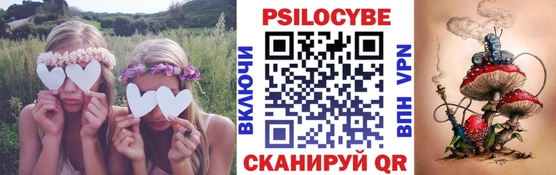 Псилоцибиновые грибы мухоморы  Купить закладки  Порхов 